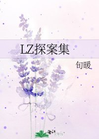 LZ探案集