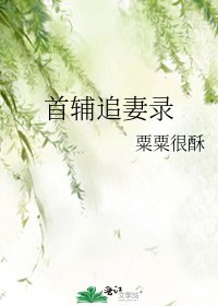 清冷首辅火葬场纪实/首辅追妻录